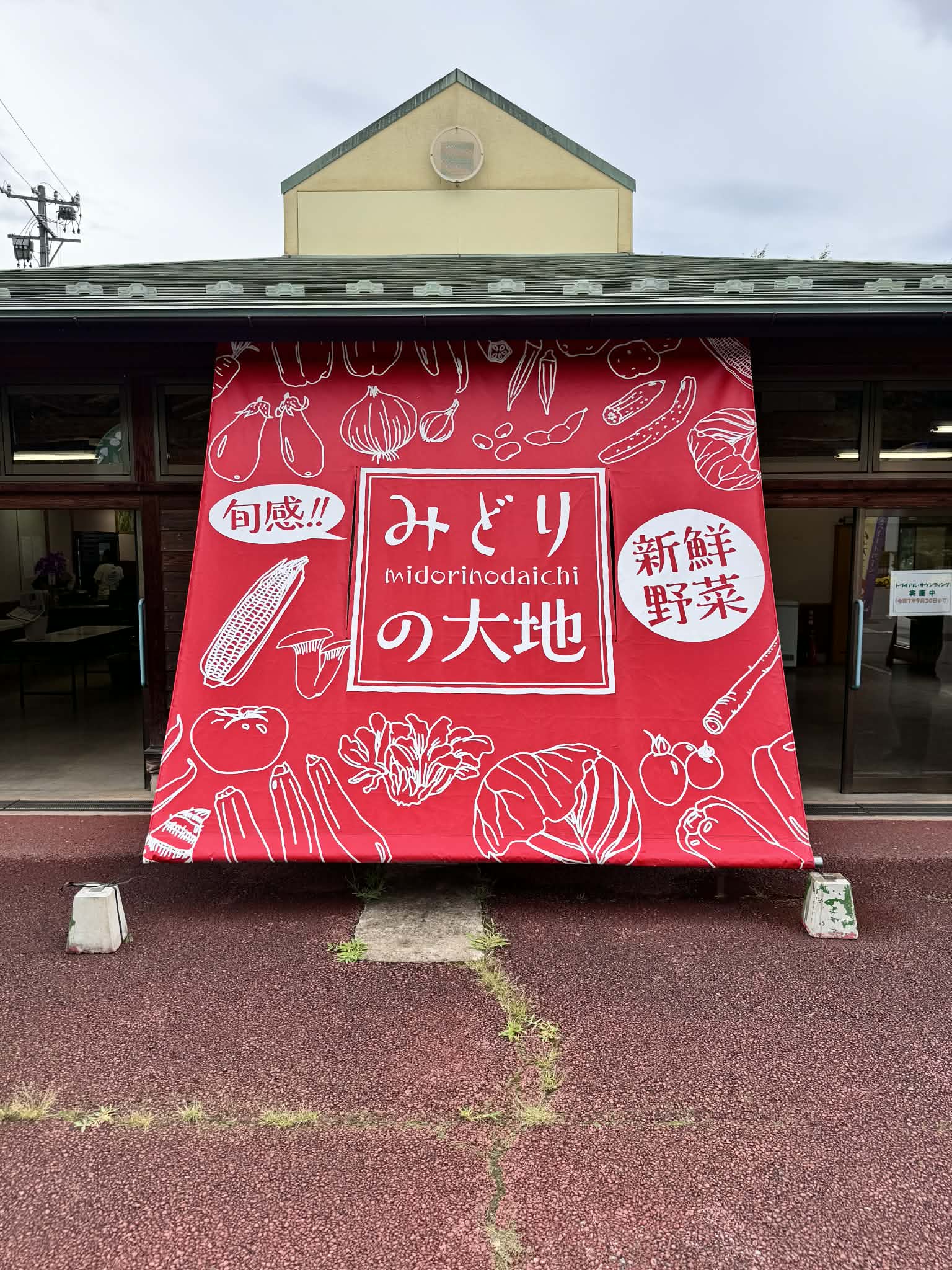 みどりの大地